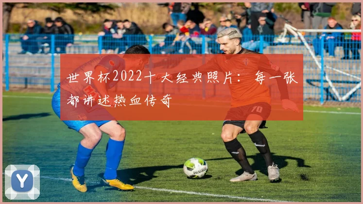 世界杯2022十大经典照片：每一张都讲述热血传奇
